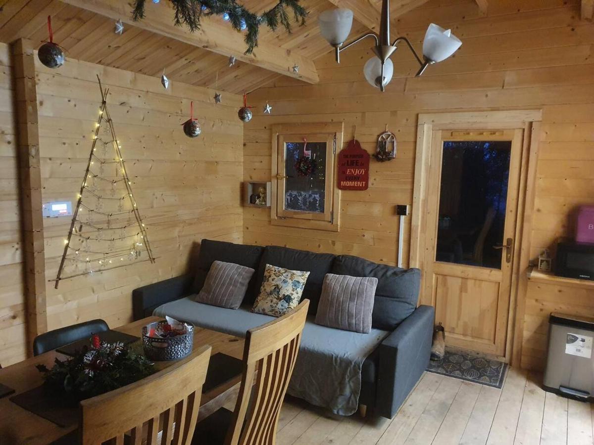 Stunning Log Cabin On The Lake Portroe 외부 사진